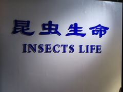 -上海昆虫博物馆