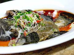 鲜花椒汁蒸老虎斑-道南書院·私房菜·早午茶·茶馆