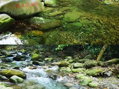 -羚羊峡古栈道森林公园