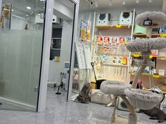 -爱洗澡的猫(天河路店)