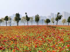 -汉江湾体育公园