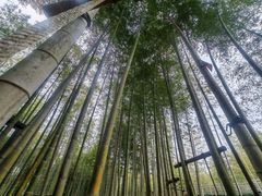 -陶祖圣境风景区