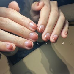 -BELLAREAL新美社