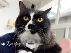 -有猫主题·治愈系猫咖(曾厝垵店)