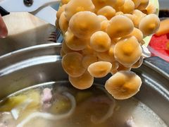 -烹然四季椰子鸡火锅(姚家园万象汇店)