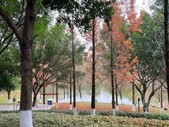 -沐仙湖湿地公园