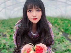 -喜杨洋草莓采摘园