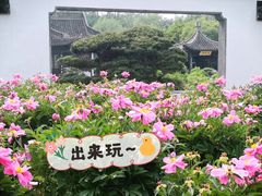 -盆景园(扬州大运河文化旅游度假区)