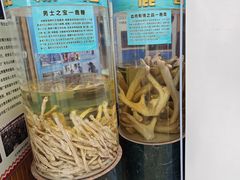 -北京鹿世界主题园