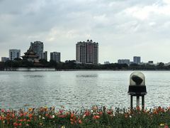 -顺峰山公园