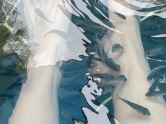-海兰云天度假区温泉