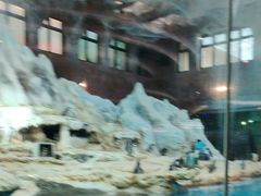 -帝企鹅自助餐厅•儿童岛•真企鹅(长隆企鹅酒店)