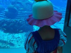 -海棠湾洲际-涛·海底餐厅·美人鱼·自助餐·海底隧道