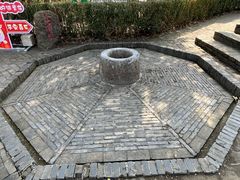 -上海佘山国家森林公园天马山园