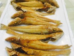 -金成潮菜博物馆(海珠湿地店)