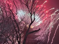 -杨家埠民间艺术大观园