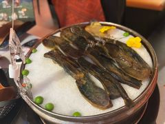 -芸山季·云南山珍菌火锅(人民广场来福士店)