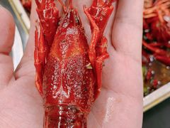 -叶派龙虾•招牌香辣蟹·海鲜(中海国际店)