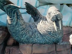 -海合安成都极地海洋公园
