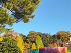 -金泽21世纪美术馆