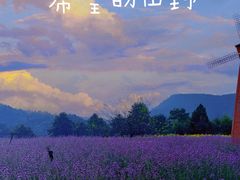 -名花谷生态庄园