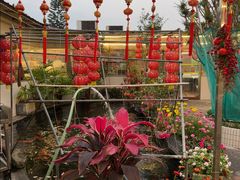 -寻味顺德·南记酒家·传统顺德菜·鱼生(广源路店)