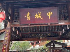 -青城甲(青城山店)