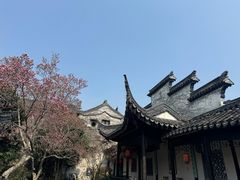 -东山雕花楼