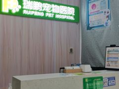 -瑞鹏宠物医院·微创内窥镜·骨外科·牙科(翠竹分院)