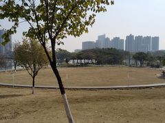 -三水森林公园