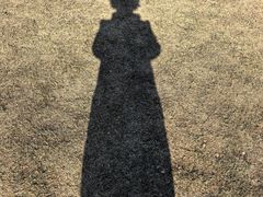 -北京张裕爱斐堡酒庄