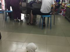 -瑞派动物医院·绝育·犬猫全科·预防医学(光景江南中店)