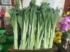 -山泉公馆酒家(珠江新城店)