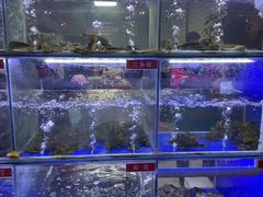 -石锅苗苗鱼(武汉首店)