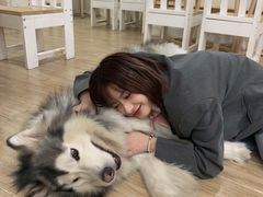 -李小姐の猫咖啡馆(五角场店)