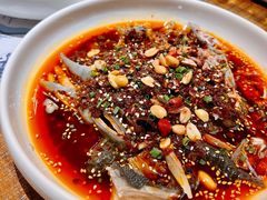 -铁公鸡·四川料理(天环广场店)