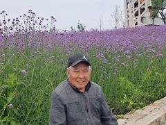 -葛仙湖公园