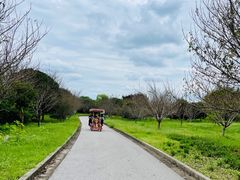 -南湖湿地公园