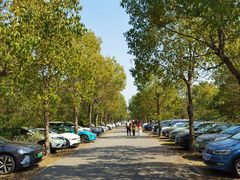 -上海海湾国家森林公园