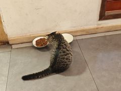 -聚首堂·特色小吃·肘子·炙子烤肉烤串(什刹海德胜门店)