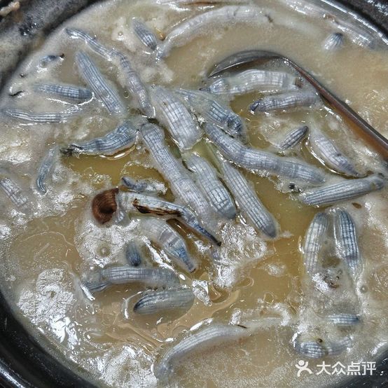 蚝爷四季渔春鲜味馆(金沙湾店)