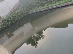 -宁波市保国寺古建筑博物馆