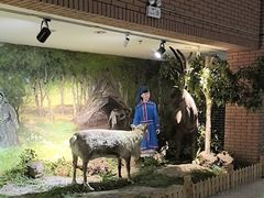 -东北民族民俗博物馆