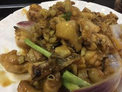 -豪华脆肉鲩