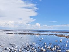 -青海湖仙女湾景区