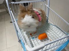 -怪兽屋·羊驼·猫咖·狗咖(俊华广场店)