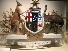 -墨尔本博物馆(Melbourne Museum)