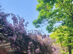 -郑和公园
