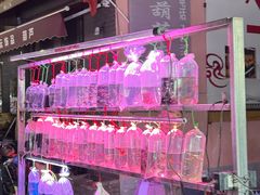 -中环花鸟鱼虫市场