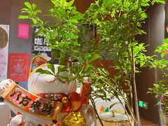 -一坐一忘云南菜(三里屯店)